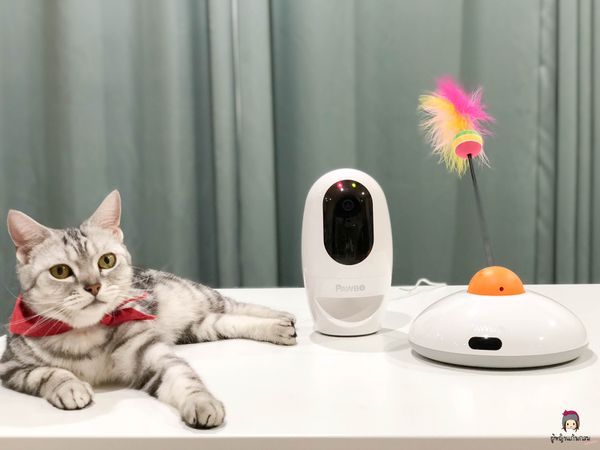 Pawbo Pet Camera กล้องไฮเทคสำหรับคนรักน้องหมาน้องแมว